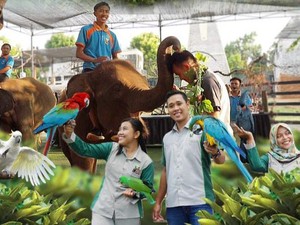 Pasti Seru Liburan di Mazoola Lamongan Saat Lebaran, Simak Harga Tiketnya