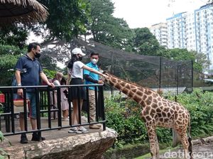 Pengadilan Putuskan Tanah Kebun Binatang Milik Pemkot Bandung