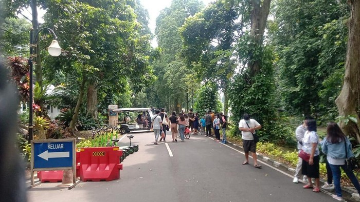 Suasana di Kebun Raya Bogor (Anggi-detikcom)