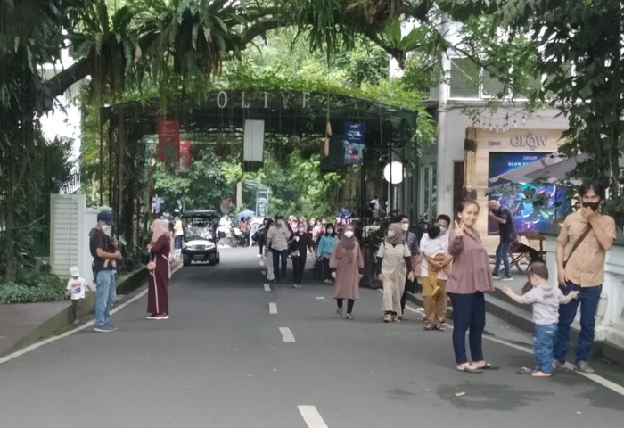 Suasana di Kebun Raya Bogor (Anggi-detikcom)