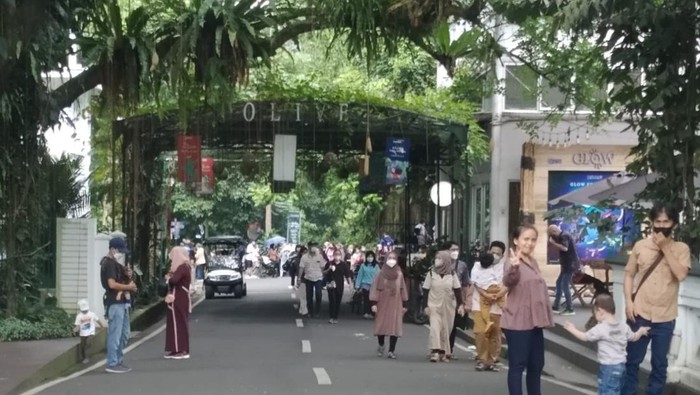 Suasana di Kebun Raya Bogor (Anggi-detikcom)