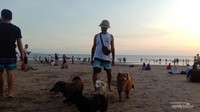 Traveler tertarik datang ke sini?