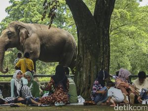 Antusias Warga Kunjungi Taman Margasatwa Ragunan