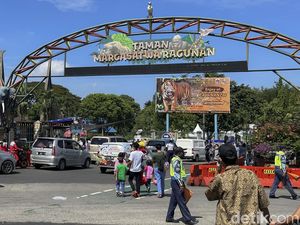 Dahan Pohon di Ragunan Patah dan Timpa 2 Pengunjung