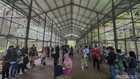 Tips Berwisata ke Ragunan, Biar Kunjungan Makin Asik dan Maksimal!