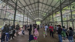 Tips Berwisata ke Ragunan, Biar Kunjungan Makin Asik dan Maksimal!