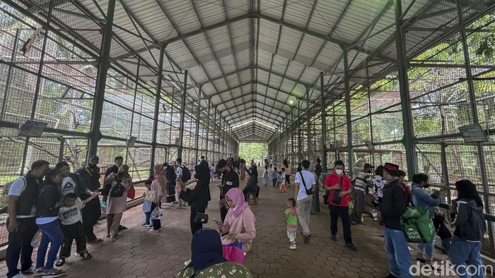 Sejumlah pengunjung beraktivitas di Kebun Binatang Ragunan, Jakarta, Selasa (3/5/2022). Memasuki libur hari raya Idul Fitri warga berbondong-bondong datangi Ragunan untuk berlibur.