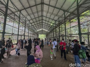 Tips Berwisata ke Ragunan, Biar Kunjungan Makin Asik dan Maksimal!