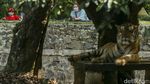 Antusias Warga Kunjungi Taman Margasatwa Ragunan