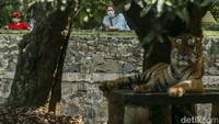 Sejumlah pengunjung beraktivitas di Kebun Binatang Ragunan, Jakarta, Selasa (3/5/2022). Memasuki libur hari raya Idul Fitri warga berbondong-bondong datangi Ragunan untuk berlibur. 