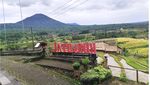 Foto: Jatiluwih, Desa Wisata Cantik dari Tabanan Bali