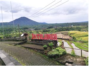 Mengenal Subak Jatiluwih, Penghasil Beras Unggulan-Warisan Budaya UNESCO