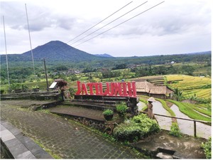 Kiat Badan Pengelola DTW Jatiluwih Sinergikan Pariwisata dan Pertanian