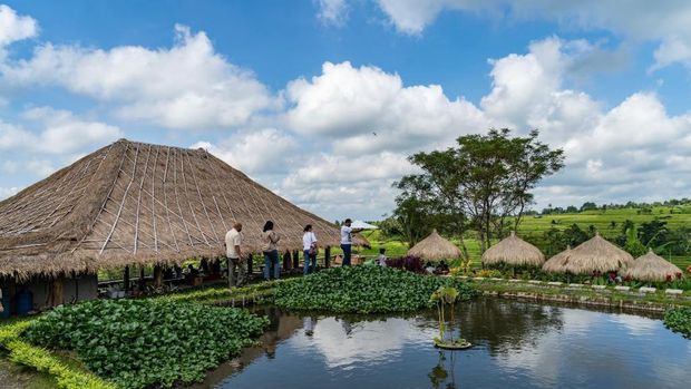 Desa Wisata Jatiluwih