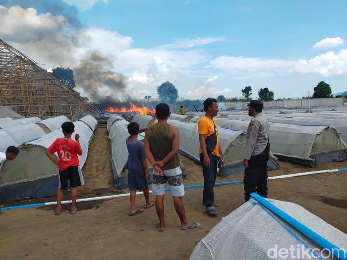Gudang tembakau di Jember terbakar