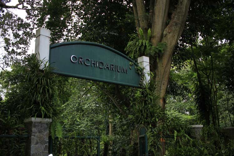 Orchidarium Kebun Raya Bogor.