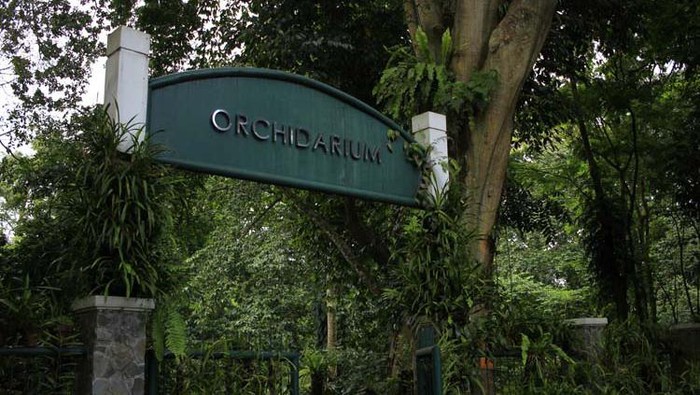 Orchidarium Kebun Raya Bogor.