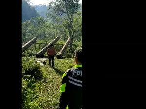 Bikin Kaca Rumah Warga Bergetar, Perang Meriam Pohon di Tasik Dibubarkan