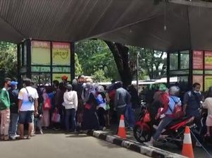 Pengunjung Tak Tahu Beli Tiket Online, Ragunan: Sejak Awal Pandemi