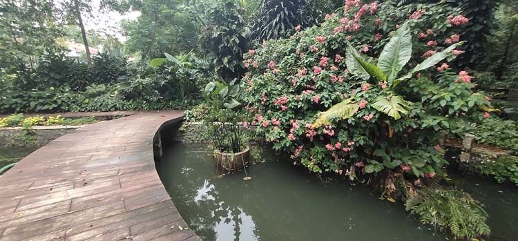 Kebun Raya Bogor.