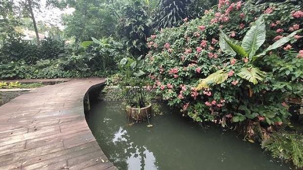 Kebun Raya Bogor.