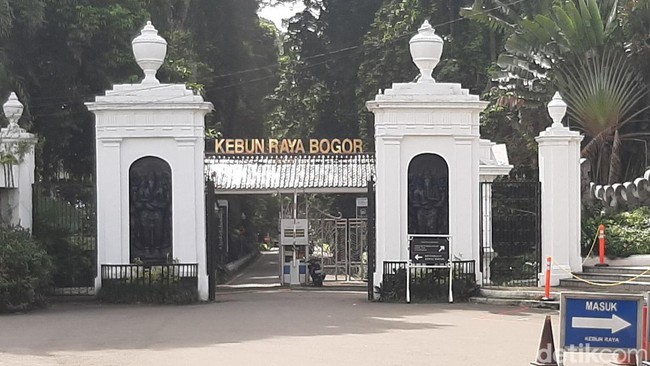6 Fakta Rombongan Paksa Masuk Kebun Raya Bogor Bikin Sekuriti Terluka