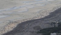 Foto dari ketinggian pantai Parangtritis yang dipenuhi wisatawan.