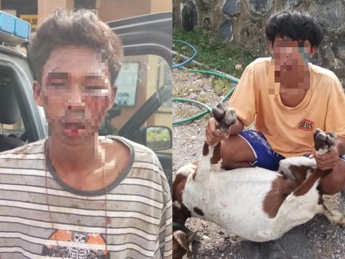 Dua pencuri kambing yang tertangkap dan babak belur dikeroyok warga di Bima