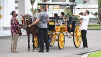 Tak lama kemudian, Jokowi mengajak cucu-cucunya untuk menaiki delman. Duduk di samping kusir, Jresiden tampak menggendong La Lembah Manah. Sementara itu, Jan Ethes dan Sedah Mirah duduk di baris kedua. Adik Sedah Mirah, Panembahan Al Nahyan Nasution, tampak turut serta setelah beberapa putaran. (Lukas - Biro Pers Sekretariat Presiden)