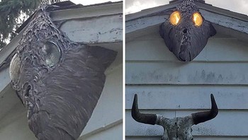 Ini adalah sarang tawon berukuran jumbo yang terlihat makin menyeramkan karena berada di sekeliling lampu bohlam. Foto: Bored Panda