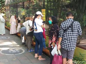 Pengunjung KBS Tembus 14 Ribu Orang pada H Plus 2 Lebaran