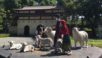Semakin ke dalam, banyak area menarik lainnya untuk berfoto. Seperti di Farm House, di sana banyak mainan anak-anak serta labirin dari rumput sintetis. Rumah-rumahan mini dari kayu menambah kesan lebih kental ada di desa peternakan. (Dadan Kuswaraharja/detikcom)  
