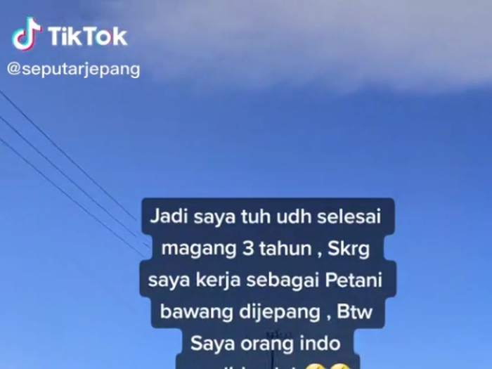 Kisah Ahmad Fauzan viral bekerja sebagai petani bawang di Jepang.