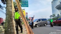 Mobil minibus tersebut menabrak sebuah pohon.