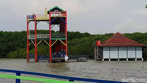 Hutan mangrove bekas abrasi di Brebes, Kamis (5/5/2022).