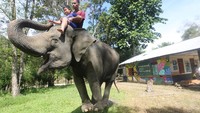 Selain itu tempat ini juga menjadi konservasi dan wisata edukasi satwa di pedalaman Kabupaten Aceh Jaya. 