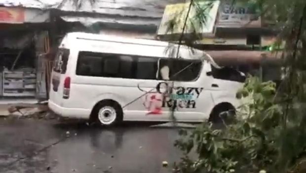 Mobil tertimpa pohon di Jalan Puri Kota Medan.