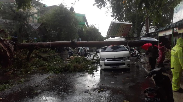 Mobil tertimpa pohon di Jalan Puri Kota Medan.