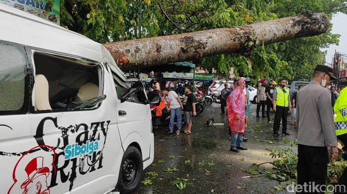 Mobil tertimpa pohon di Medan.