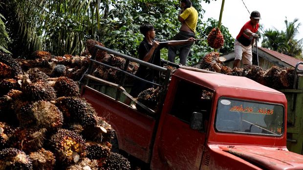 Pekerja memuat tandan buah segar kelapa sawit untuk diangkut dari tempat pengumpul ke pabrik CPO di Pekanbaru, provinsi Riau, Indonesia, Rabu (27/4/2022). (REUTERS/Willy Kurniawan)