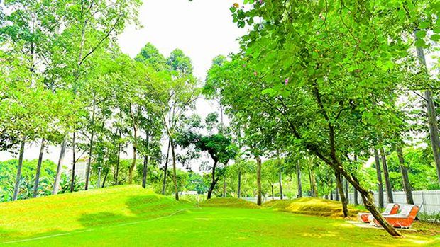 Tebet Eco Park