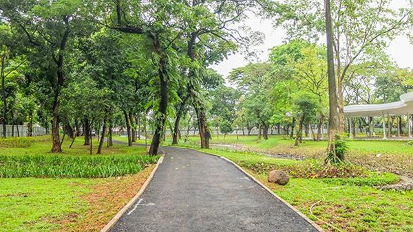 Forest Buffer menjai area wisatawan untuk berjalan di bawah rindangnya pohon. Ada informasi di pohon-pohon beserta fakta menarik untuk informasi. (Tebet Eco Park) Forest Buffer menjai area wisatawan untuk berjalan di bawah rindangnya pohon. Ada informasi di pohon-pohon beserta fakta menarik untuk informasi. (Tebet Eco Park)