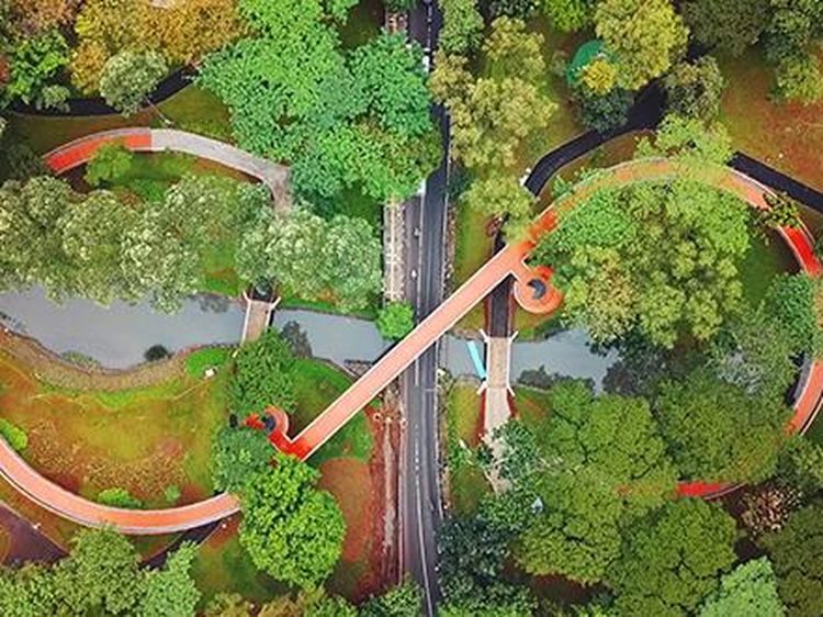 Foto: 8 Zona Menarik di Tebet Eco Park, Apa Saja?