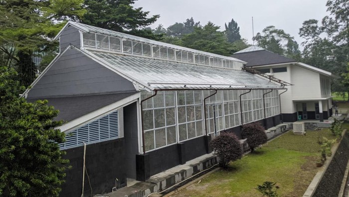 Wah! Ada Pusat Konservasi Anggrek di Kebun Raya Bogor, Ini Penampakannya Kementerian Pekerjaan Umum dan Perumahan Rakyat (PUPR) telah menyelesaikan penataan bangunan Kawasan Taman Anggrek Kebun Raya Bogor di Kota Bogor, Jawa Barat. Begini penampakannya!