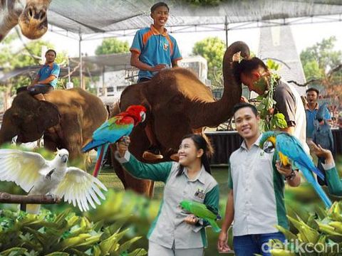 Bagi pemudik di Lamongan yang masih bingung mau liburan ke mana, bisa simak artikel ini. Ada 5 destinasi wisata di Kota Soto yang terkenal.