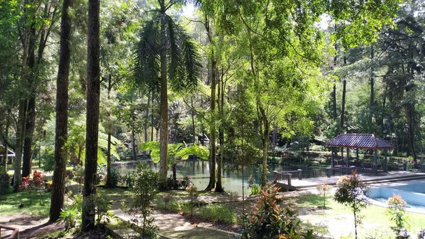 Suasana adem dan asri bisa dinikmati di wisata Rambut Monte. Lokasi ini cocok untuk healing di sela penatnya perjalanan mudik Anda.
