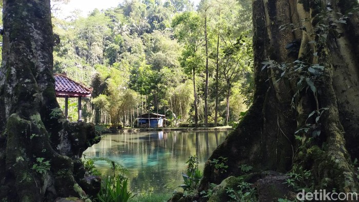 Telaga Rambut Monte di Blitar, Keindahan Alam yang Sarat Legenda