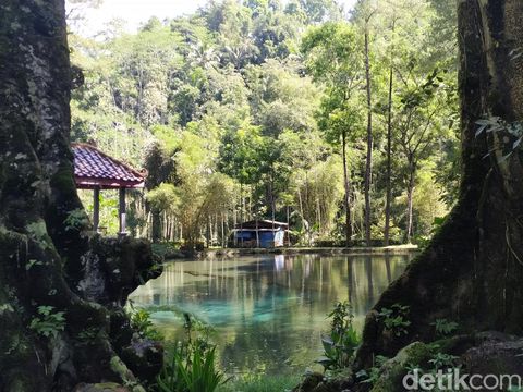 Suasana adem dan asri bisa dinikmati di wisata Rambut Monte. Lokasi ini cocok untuk healing di sela penatnya perjalanan mudik Anda.