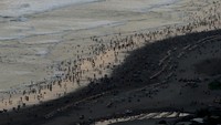 Wisatawan memadati Pantai Parangtritis, Bantul, D.I Yogyakarta, Rabu (4/5/2022).   