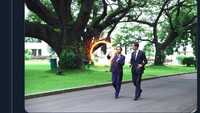 Semua bermula dari pertemuan Jokowi dan Mark Rutte. Foto: (Dok. Twitter)